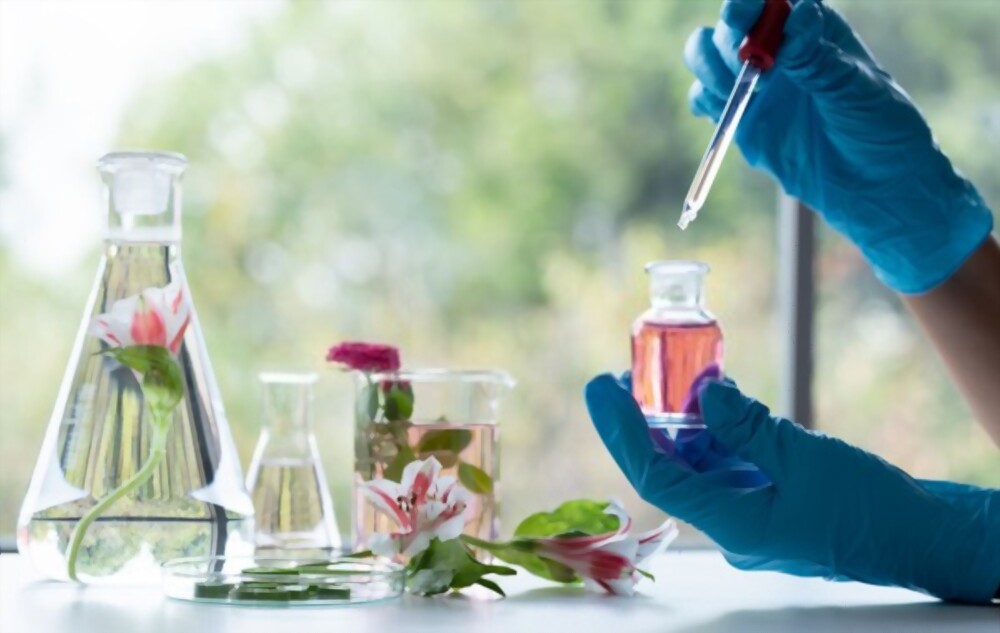 مستحضرات التجميل